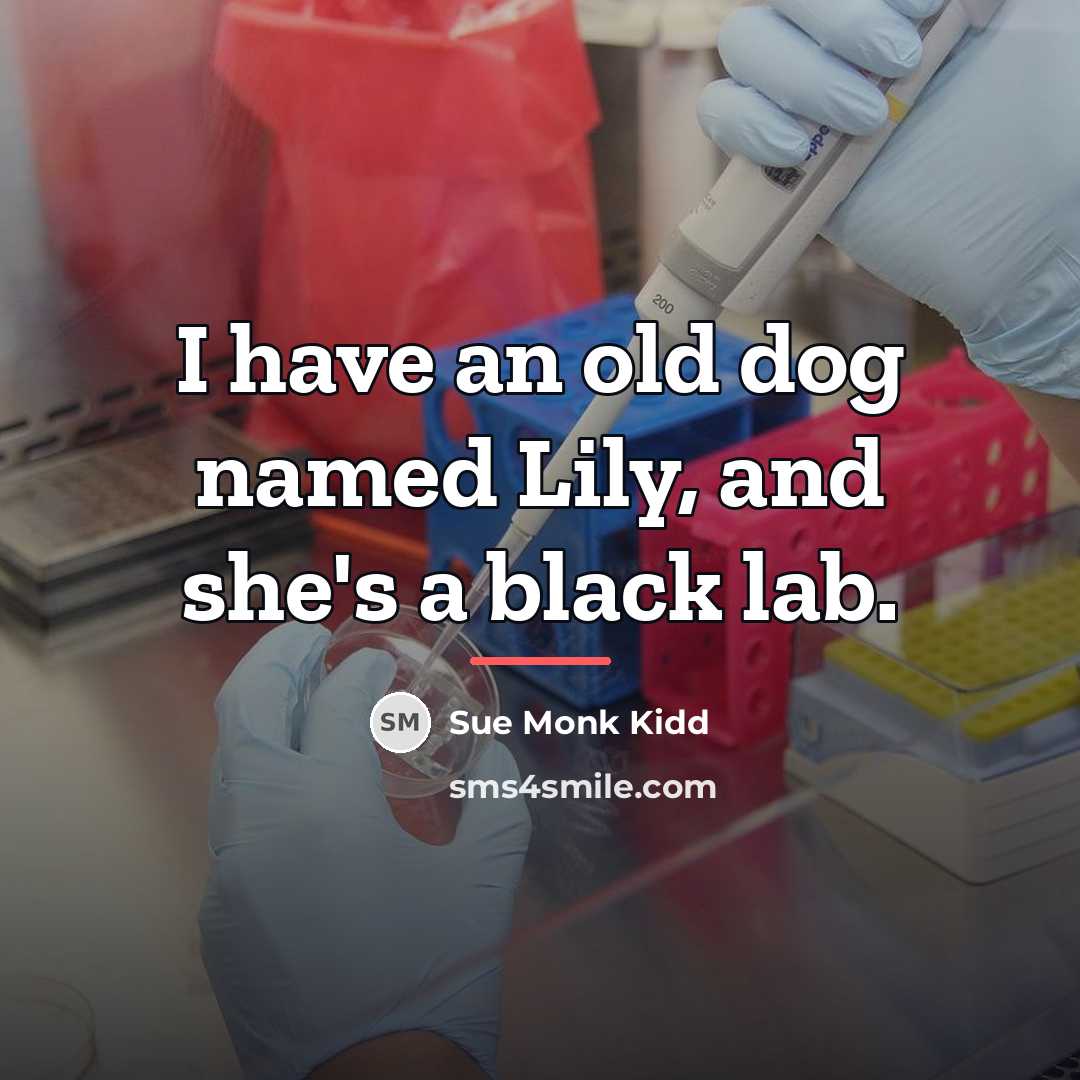 “I have an old dog named Lily, and she's a…” quote by Sue Monk Kidd
