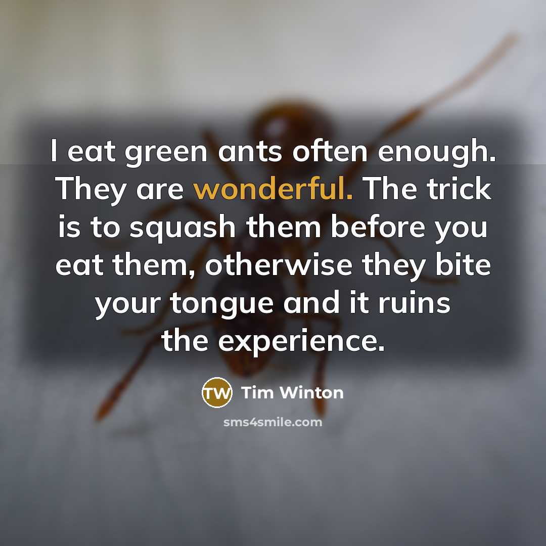 “I eat green ants often enough. They are wonderful. The…” quote by Tim Winton
