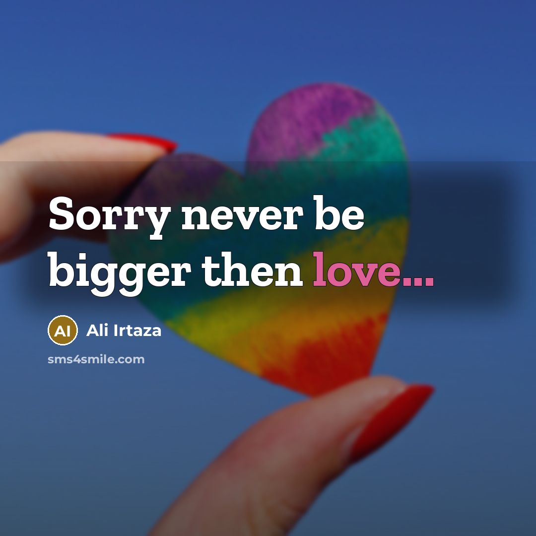 “Sorry never be bigger then love...” quote by Ali Irtaza