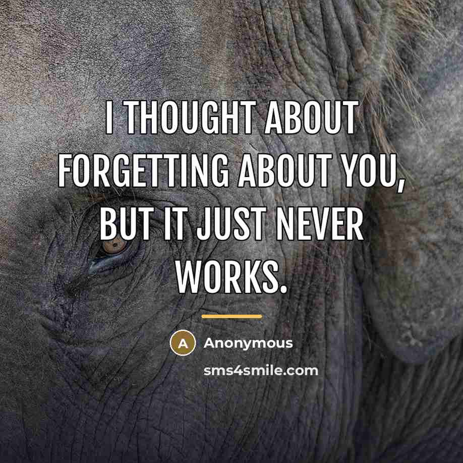 “I thought about forgetting about you, but it just never…” quote by Anonymous