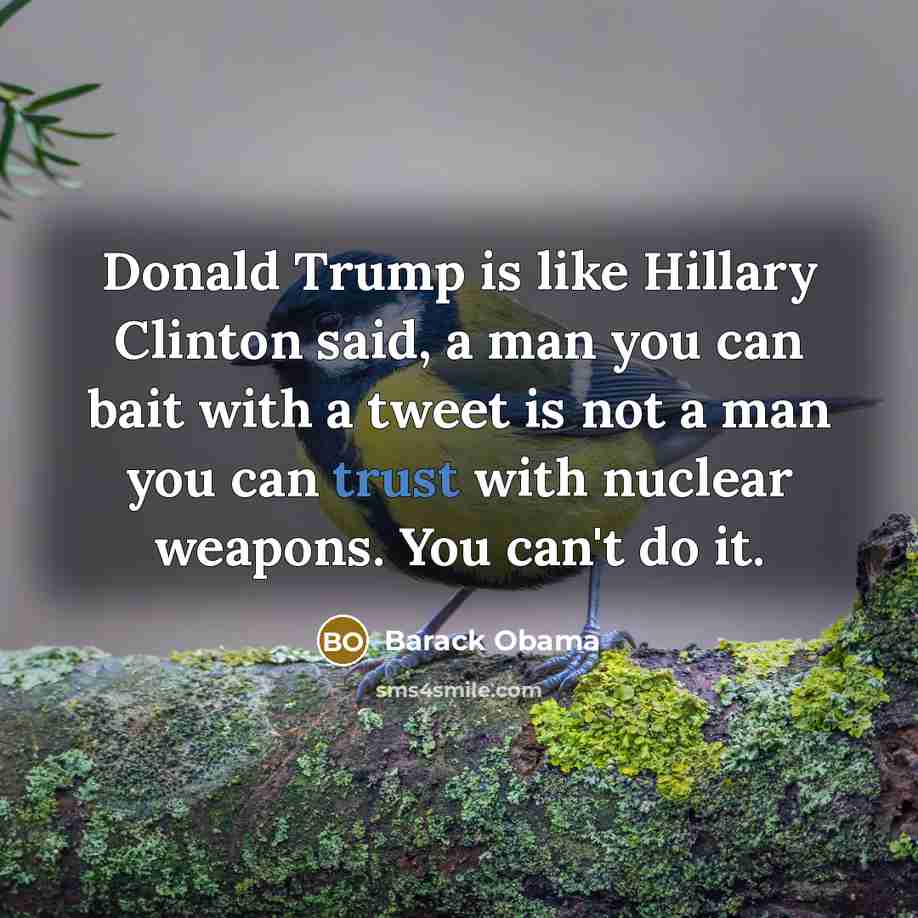 “Donald Trump is like Hillary Clinton said, a man you…” quote by Barack Obama