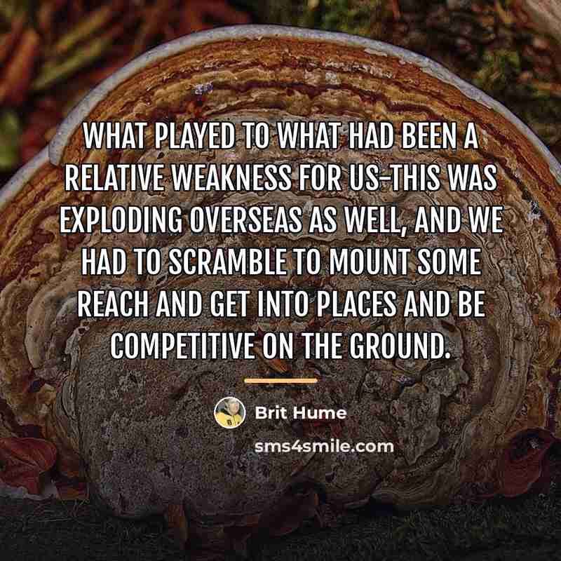 “What played to what had been a relative weakness for…” quote by Brit Hume
