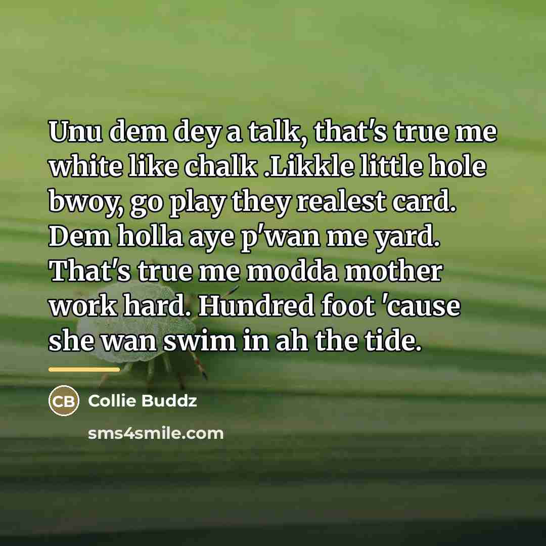 “Unu dem dey a talk, that's true me white like…” quote by Collie Buddz