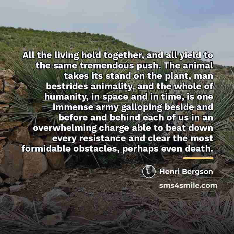 “All the living hold together, and all yield to the…” quote by Henri Bergson