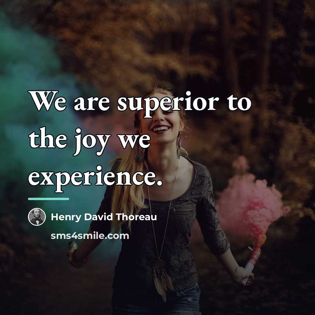 “We are superior to the joy we experience.…” quote by Henry David Thoreau