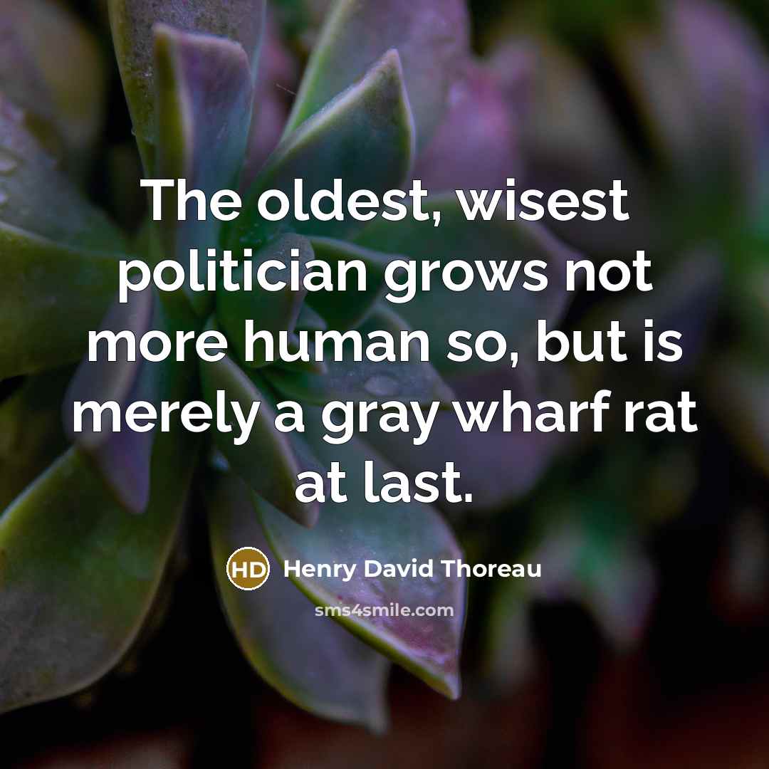 “The oldest, wisest politician grows not more human so, but…” quote by Henry David Thoreau