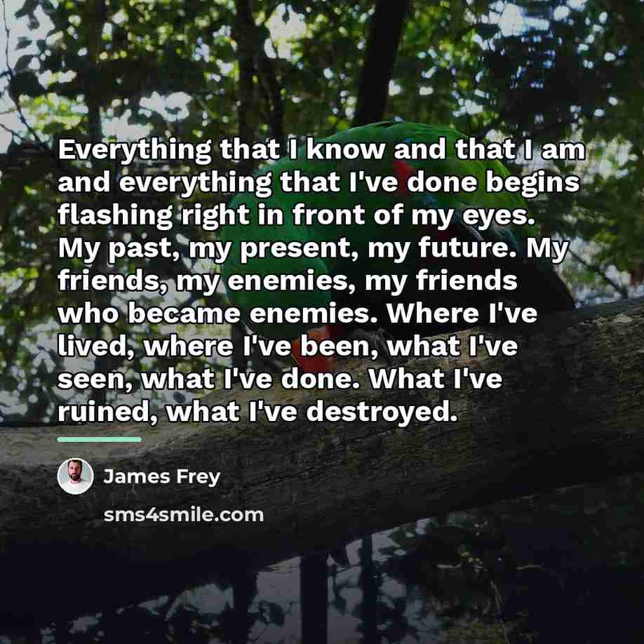 “Everything that I know and that I am and everything…” quote by James Frey