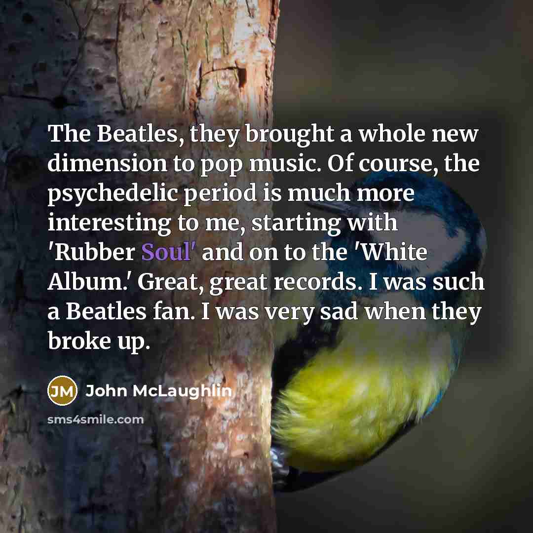 “The Beatles, they brought a whole new dimension to pop…” quote by John McLaughlin