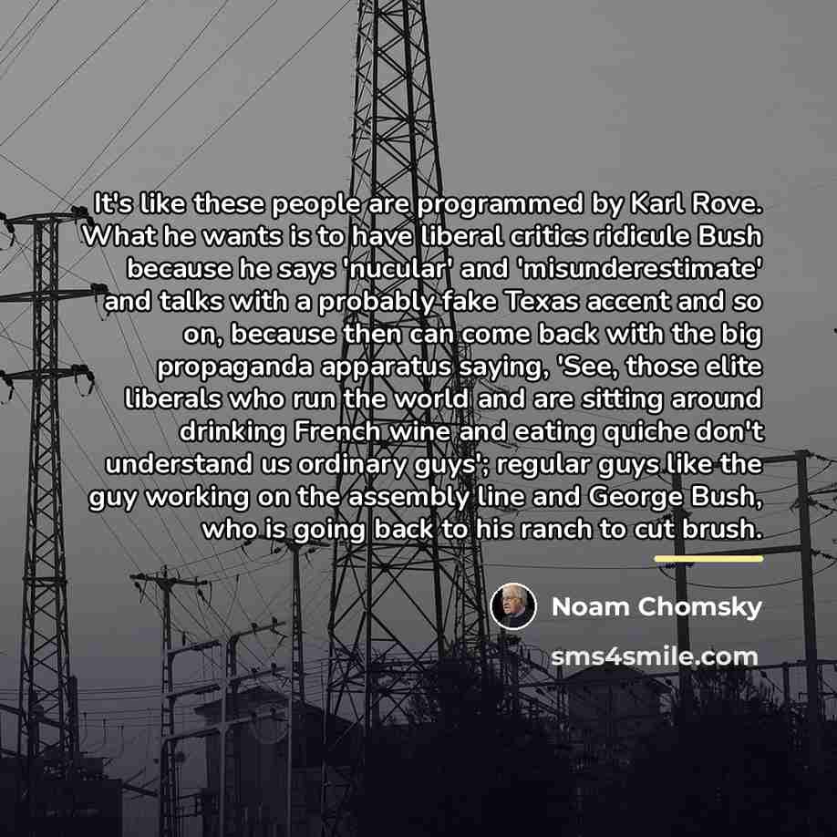 “It's like these people are programmed by Karl Rove. What…” quote by Noam Chomsky