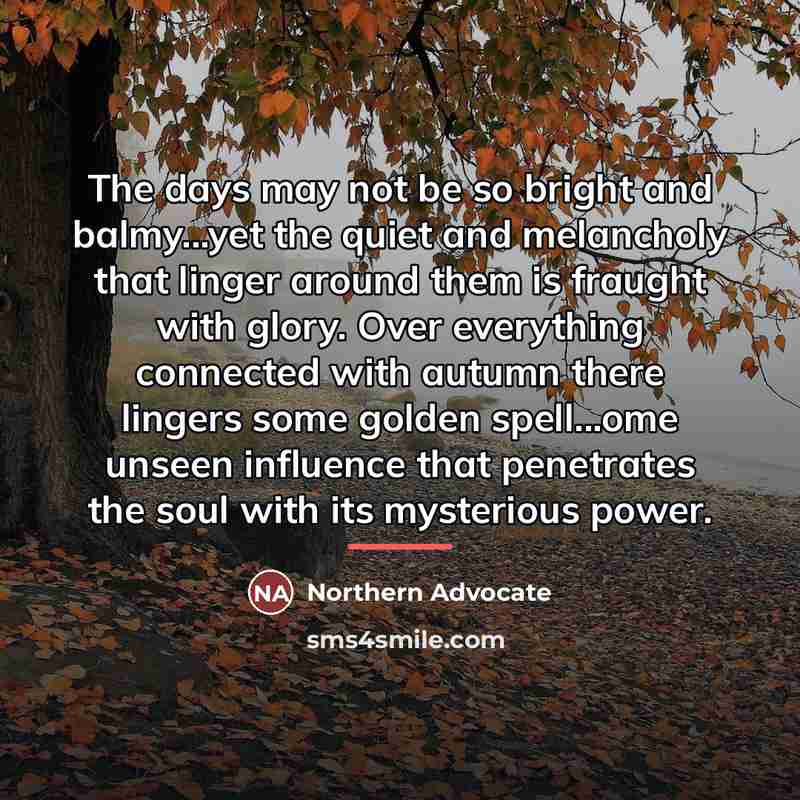 “The days may not be so bright and balmy...yet the…” quote by Northern Advocate