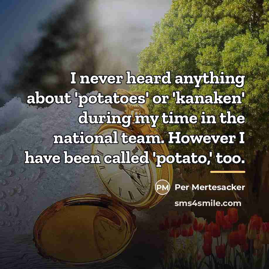 “I never heard anything about 'potatoes' or 'kanaken' during my…” quote by Per Mertesacker
