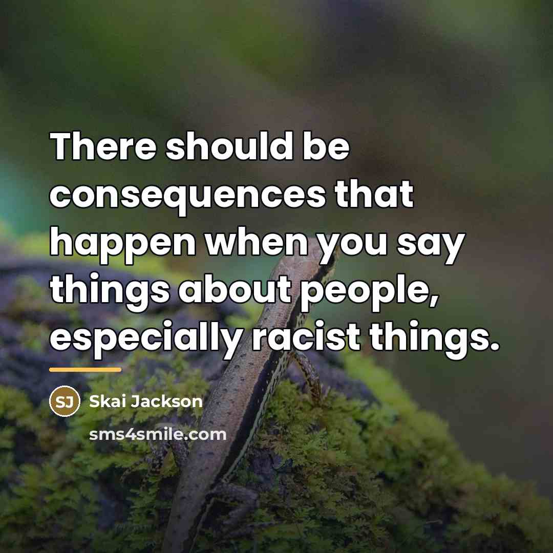 “There should be consequences that happen when you say things…” quote by Skai Jackson