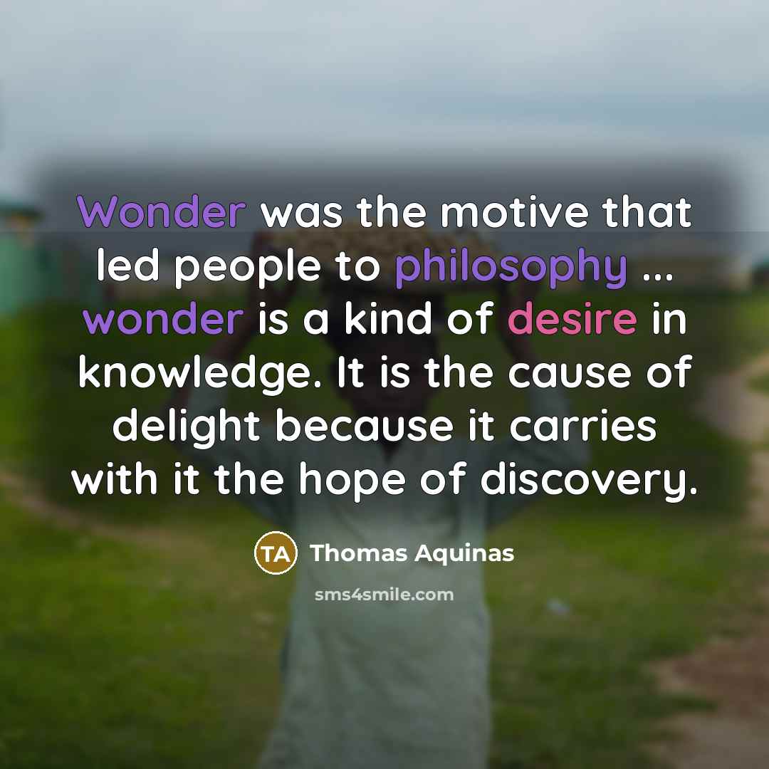 “Wonder was the motive that led people to philosophy ...…” quote by Thomas Aquinas