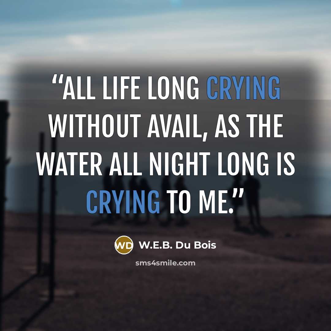“All life long crying without avail, As the water all night long is crying to me.” quote by W.E.B. Du Bois