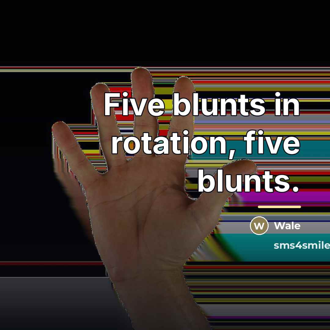 “Five blunts in rotation, five blunts.…” quote by Wale