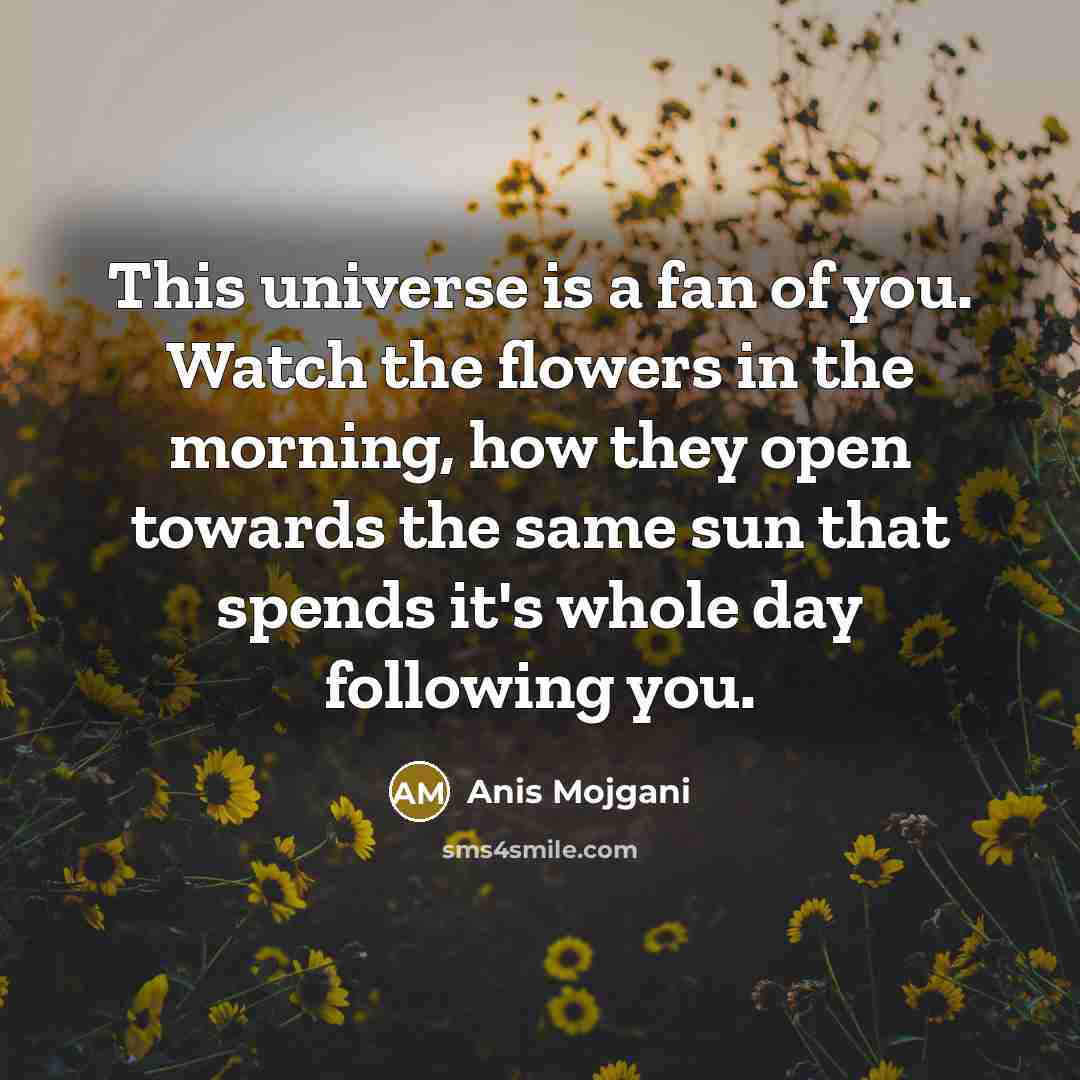“This universe is a fan of you. Watch the flowers…” quote by Anis Mojgani