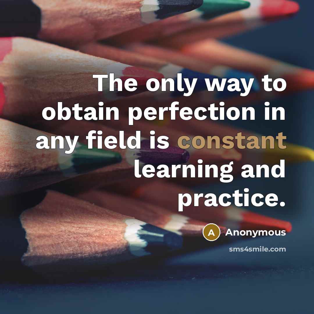 “The only way to obtain perfection in any field is…” quote by Anonymous