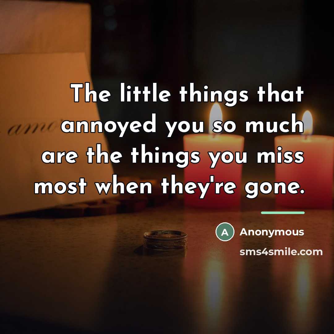 “The little things that annoyed you so much are the…” quote by Anonymous
