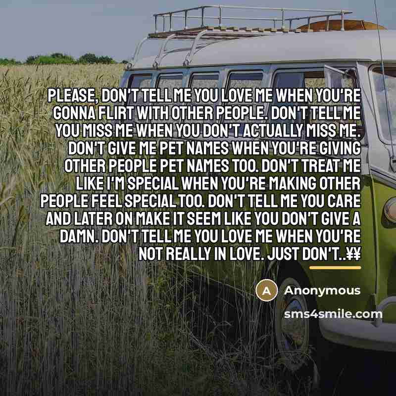 “Please, don't tell me you love me when you're gonna…” quote by Anonymous