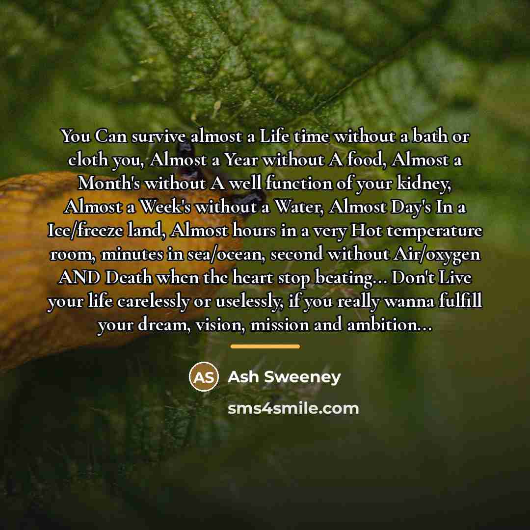 “You Can survive almost a Life time without a bath…” quote by Ash Sweeney