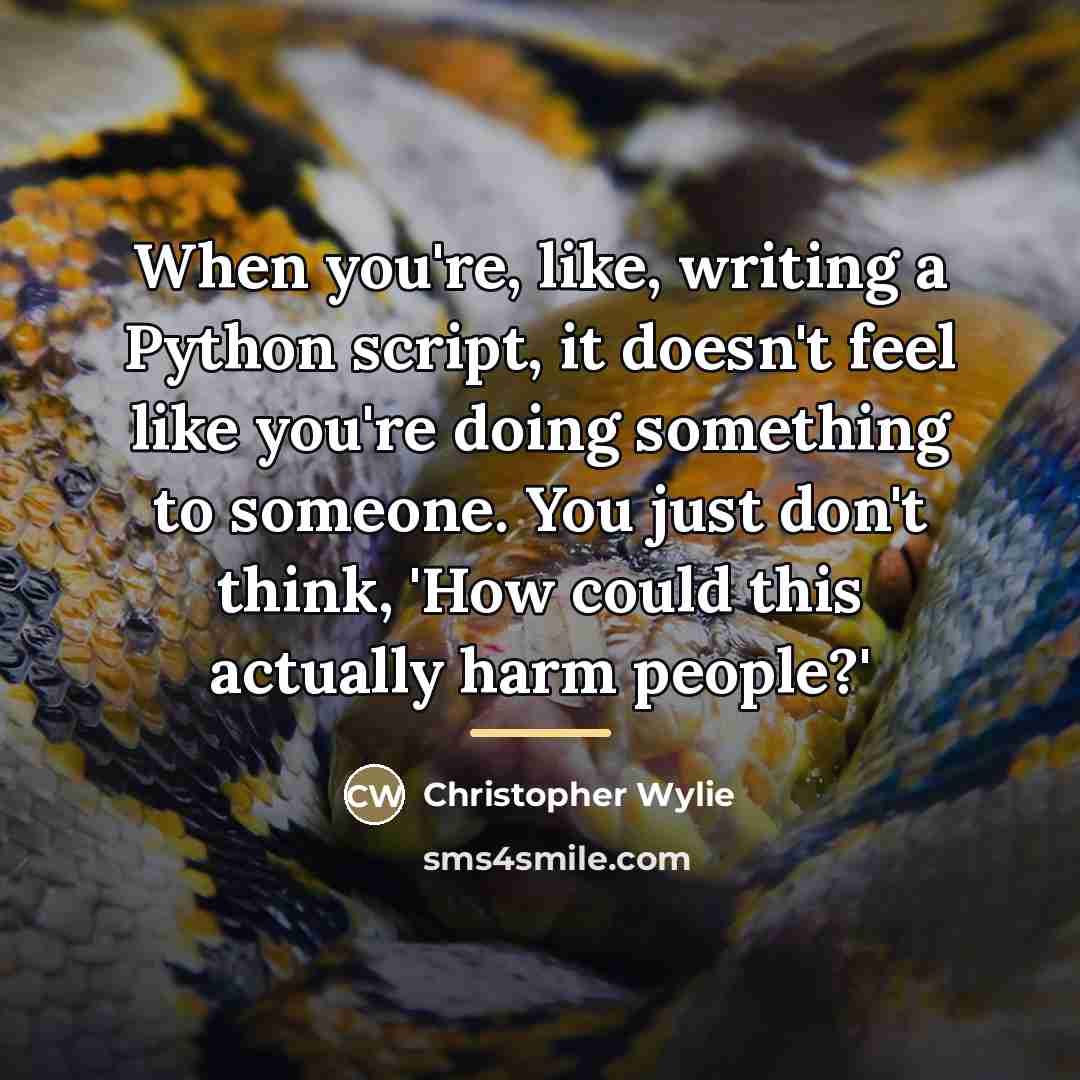 “When you're, like, writing a Python script, it doesn't feel…” quote by Christopher Wylie
