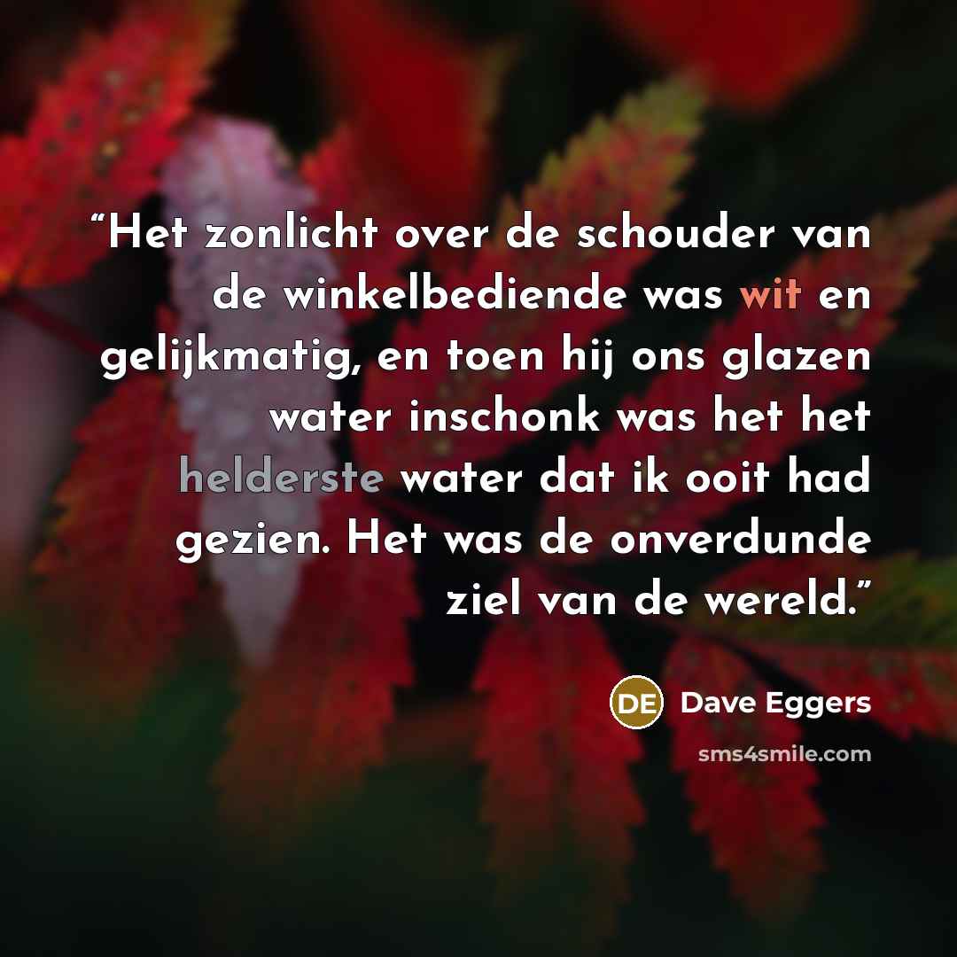 “Het zonlicht over de schouder van de winkelbediende was wit en gelijkmatig, en toen hij ons glazen water inschonk was het het helderste water dat ik ooit had gezien. Het was de onverdunde ziel van de wereld.” quote by Dave Eggers