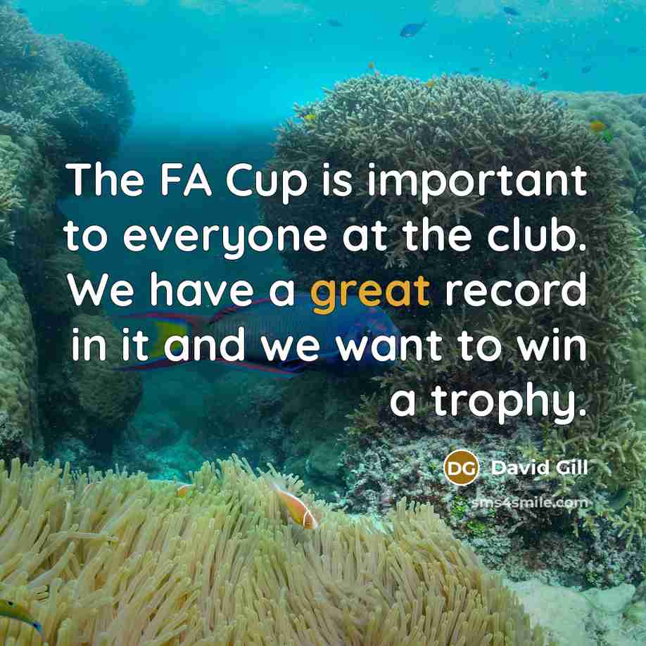 “The FA Cup is important to everyone at the club.…” quote by David Gill