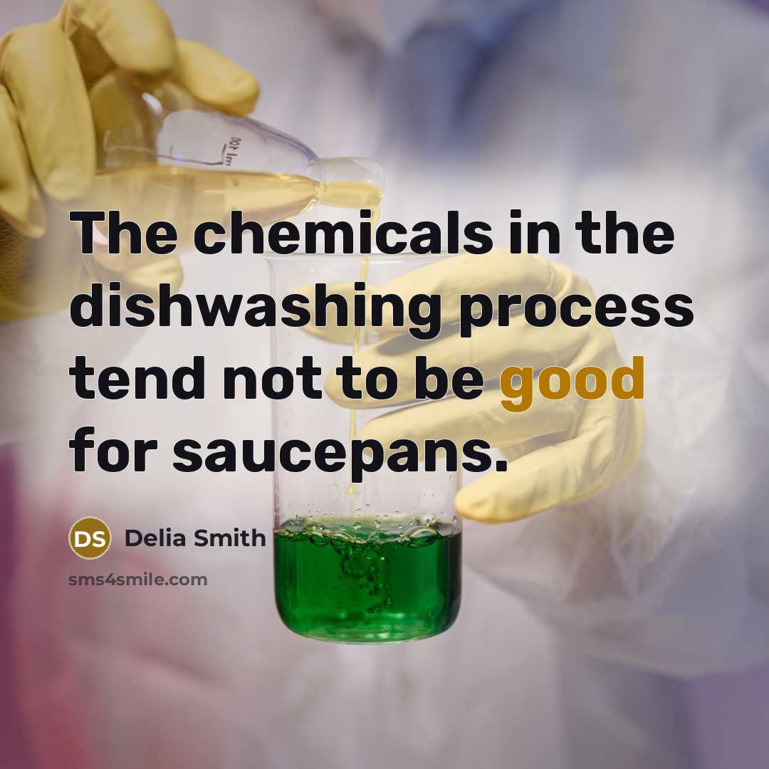 “The chemicals in the dishwashing process tend not to be…” quote by Delia Smith