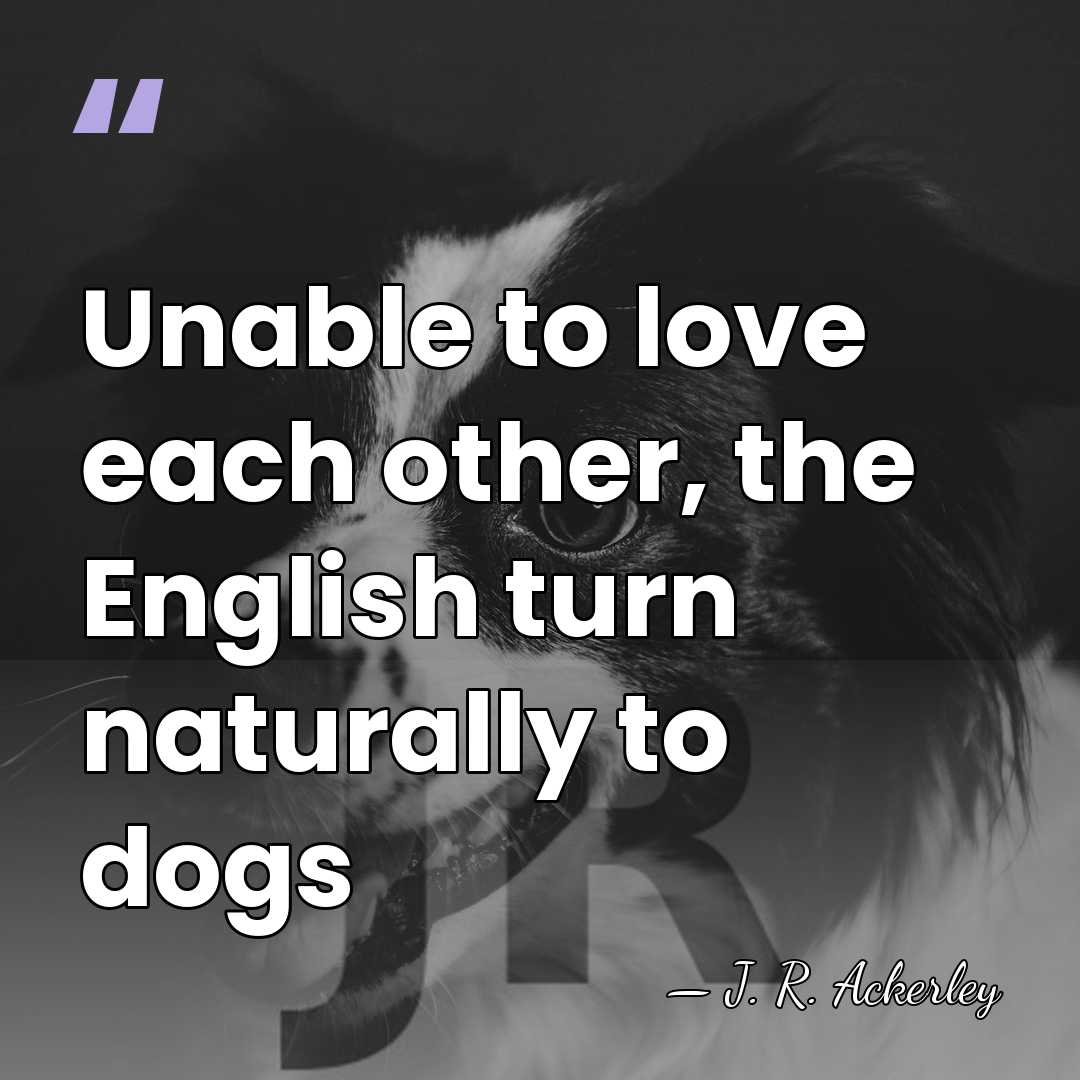 Unable to love each other, the English turn naturally to dogs - J. R. Ackerley