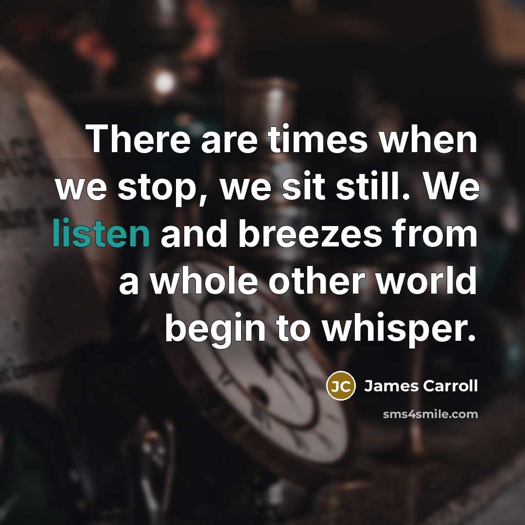 “There are times when we stop, we sit still. We…” quote by James Carroll