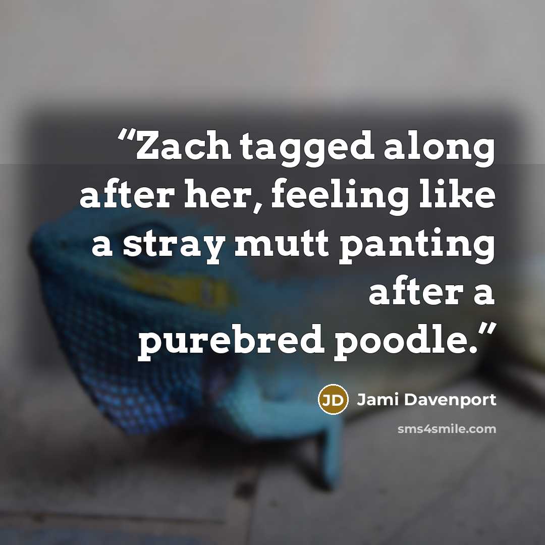 “Zach tagged along after her, feeling like a stray mutt panting after a purebred poodle.” quote by Jami Davenport