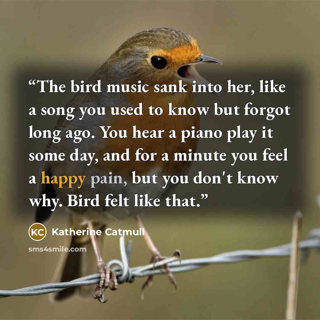 “The bird music sank into her, like a song you used to know but forgot long ago. You hear a piano play it some day, and for a minute you feel a happy pain, but you don't know why. Bird felt like that.” quote by Katherine Catmull