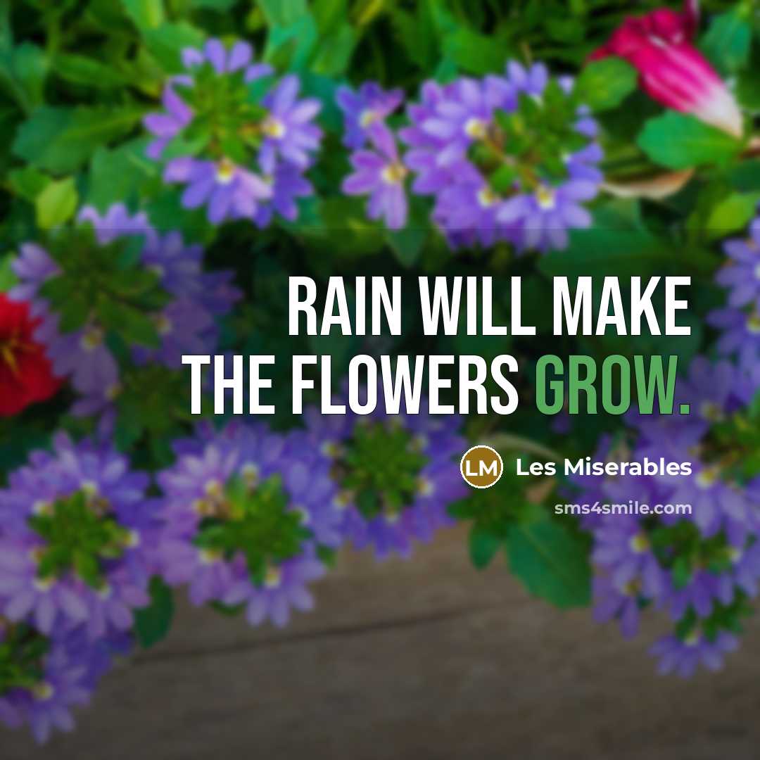 “Rain will make the flowers grow.” quote by Les Miserables