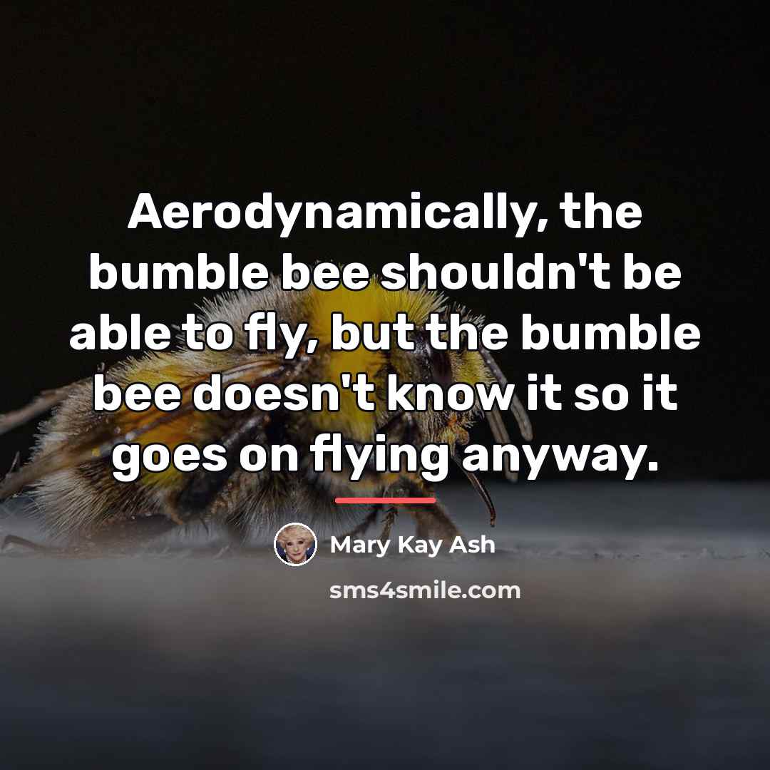 “Aerodynamically, the bumble bee shouldn't be able to fly, but…” quote by Mary Kay Ash