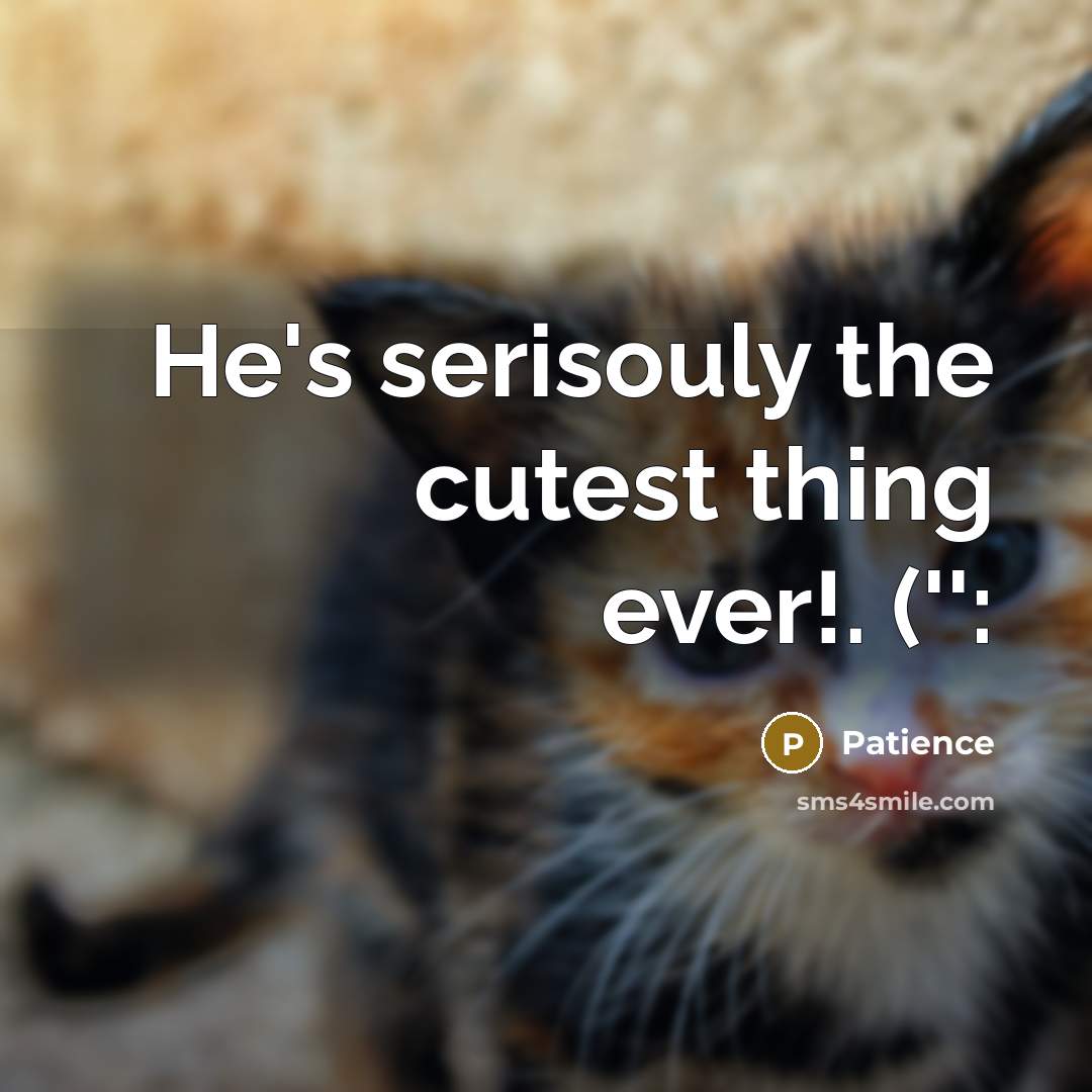 “He's serisouly the cutest thing ever!. ('':” quote by Patience