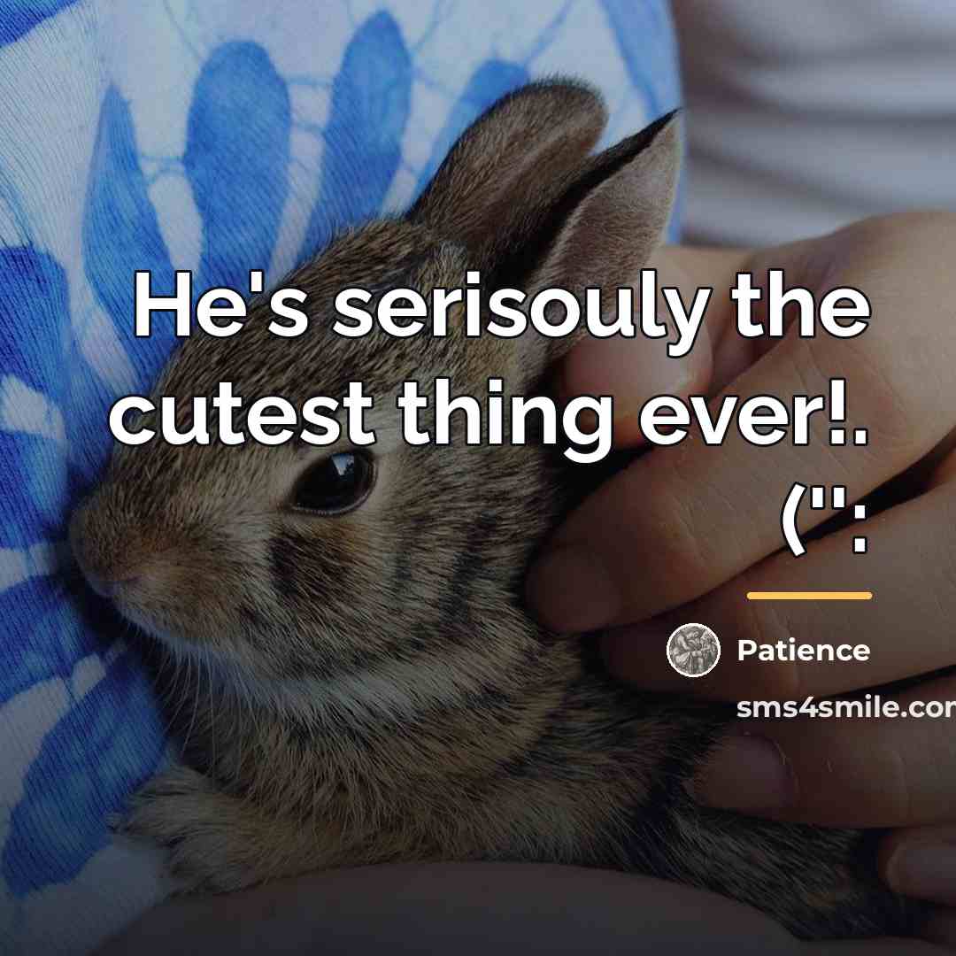 “He's serisouly the cutest thing ever!. ('':…” quote by Patience