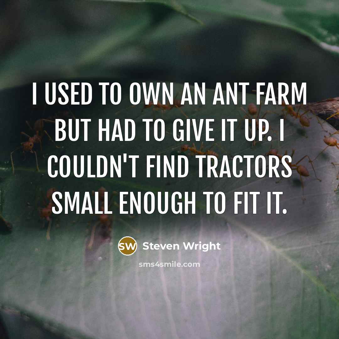 “I used to own an ant farm but had to…” quote by Steven Wright