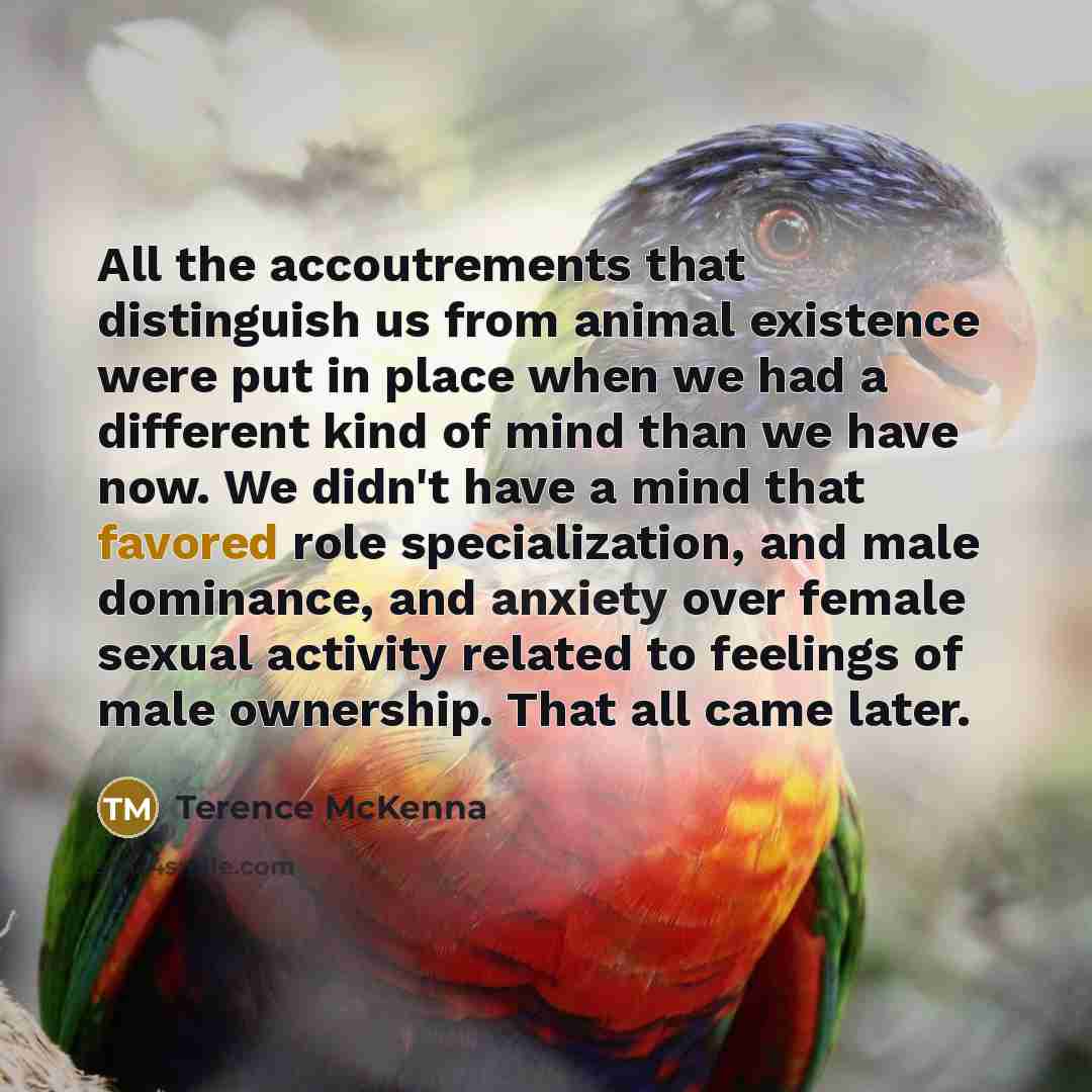 “All the accoutrements that distinguish us from animal existence were…” quote by Terence McKenna