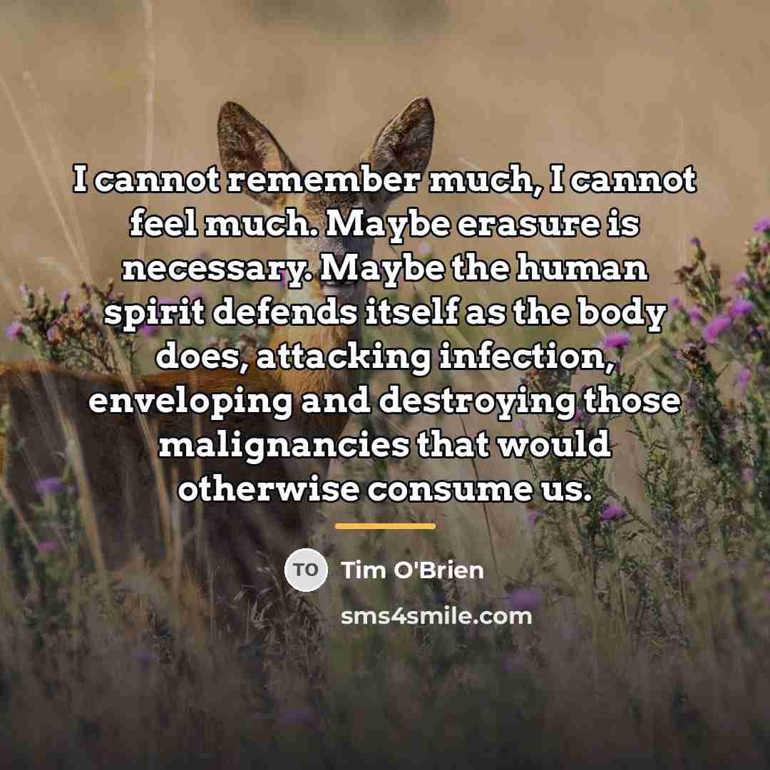“I cannot remember much, I cannot feel much. Maybe erasure…” quote by Tim O'Brien