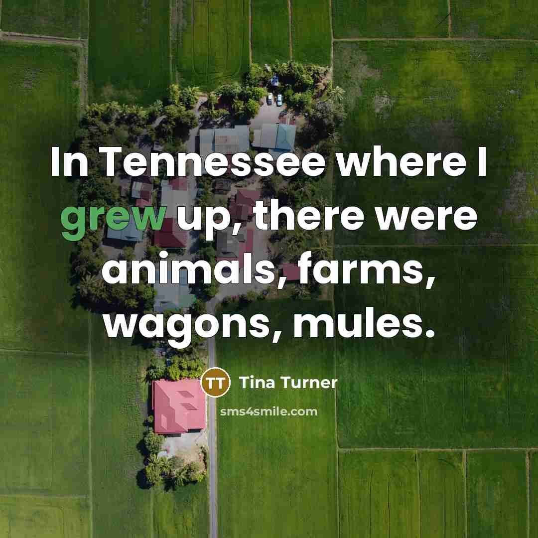 “In Tennessee where I grew up, there were animals, farms,…” quote by Tina Turner