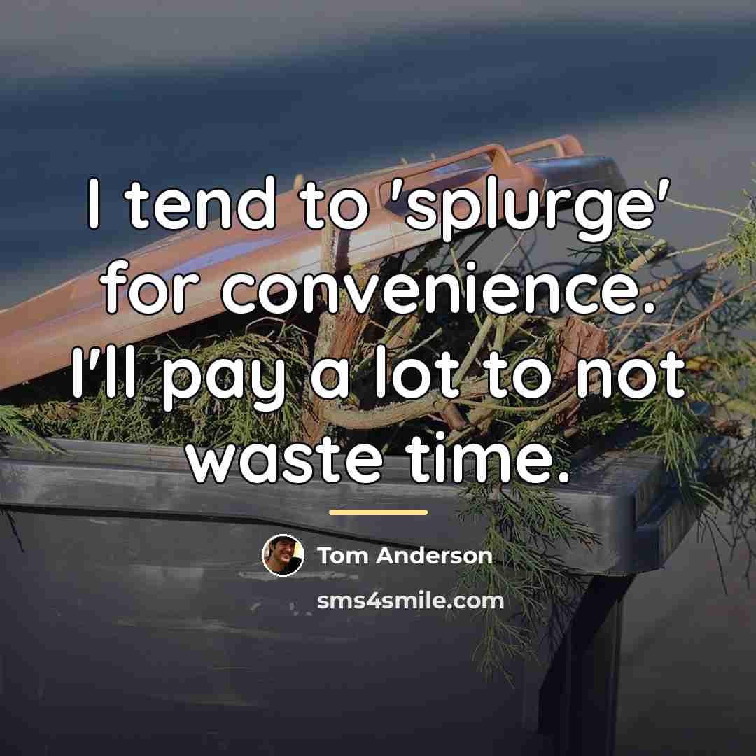 “I tend to 'splurge' for convenience. I'll pay a lot…” quote by Tom Anderson