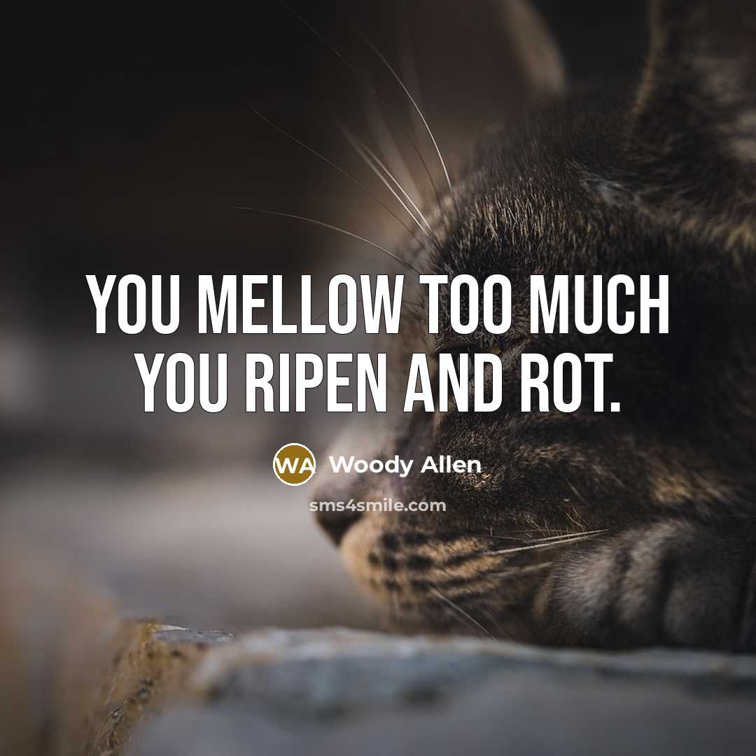 “You mellow too much you ripen and rot.…” quote by Woody Allen