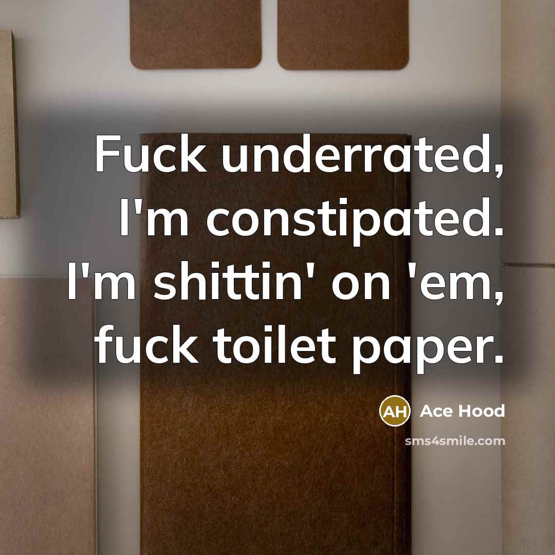 “Fuck underrated, I'm constipated. I'm shittin' on 'em, fuck toilet…” quote by Ace Hood