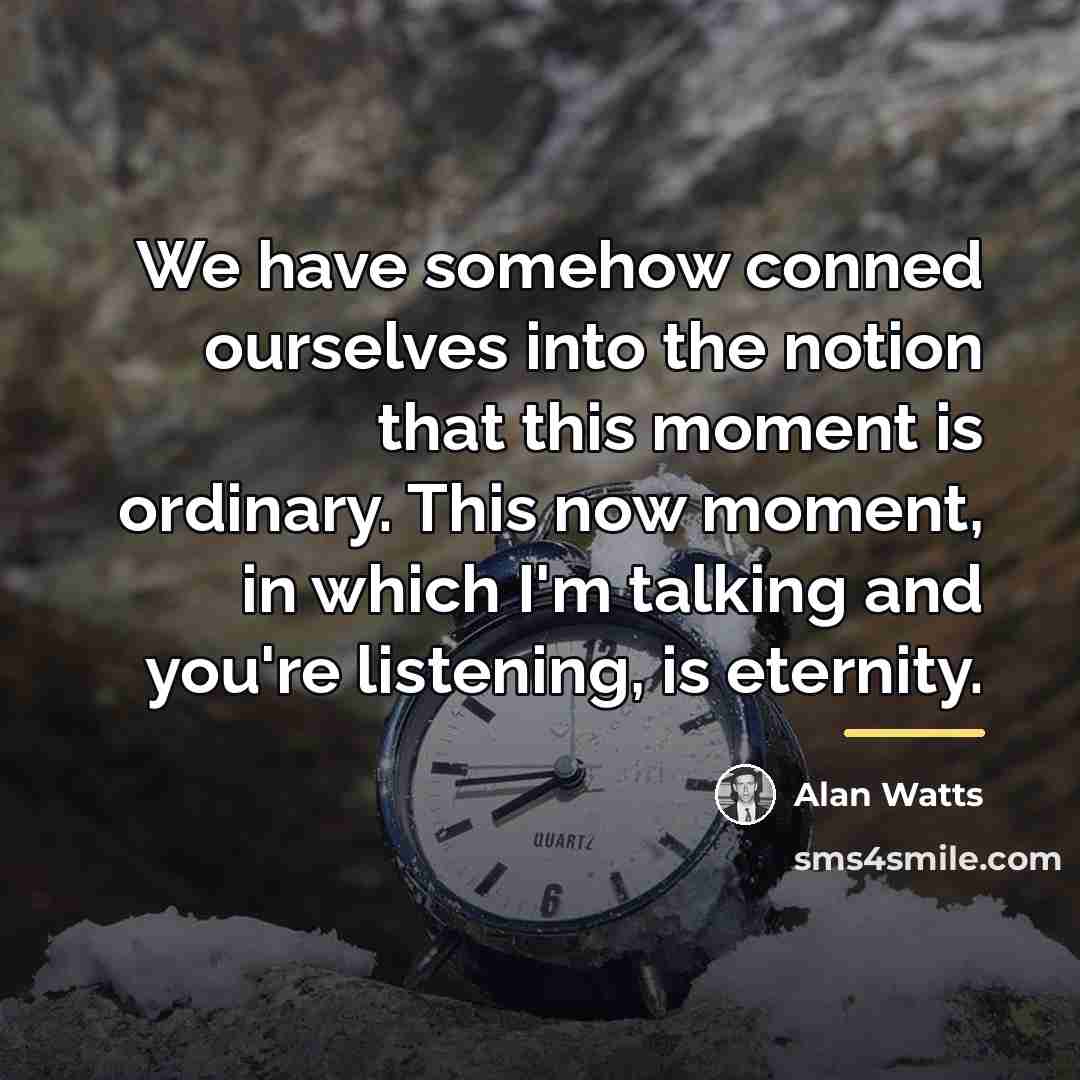 “We have somehow conned ourselves into the notion that this…” quote by Alan Watts