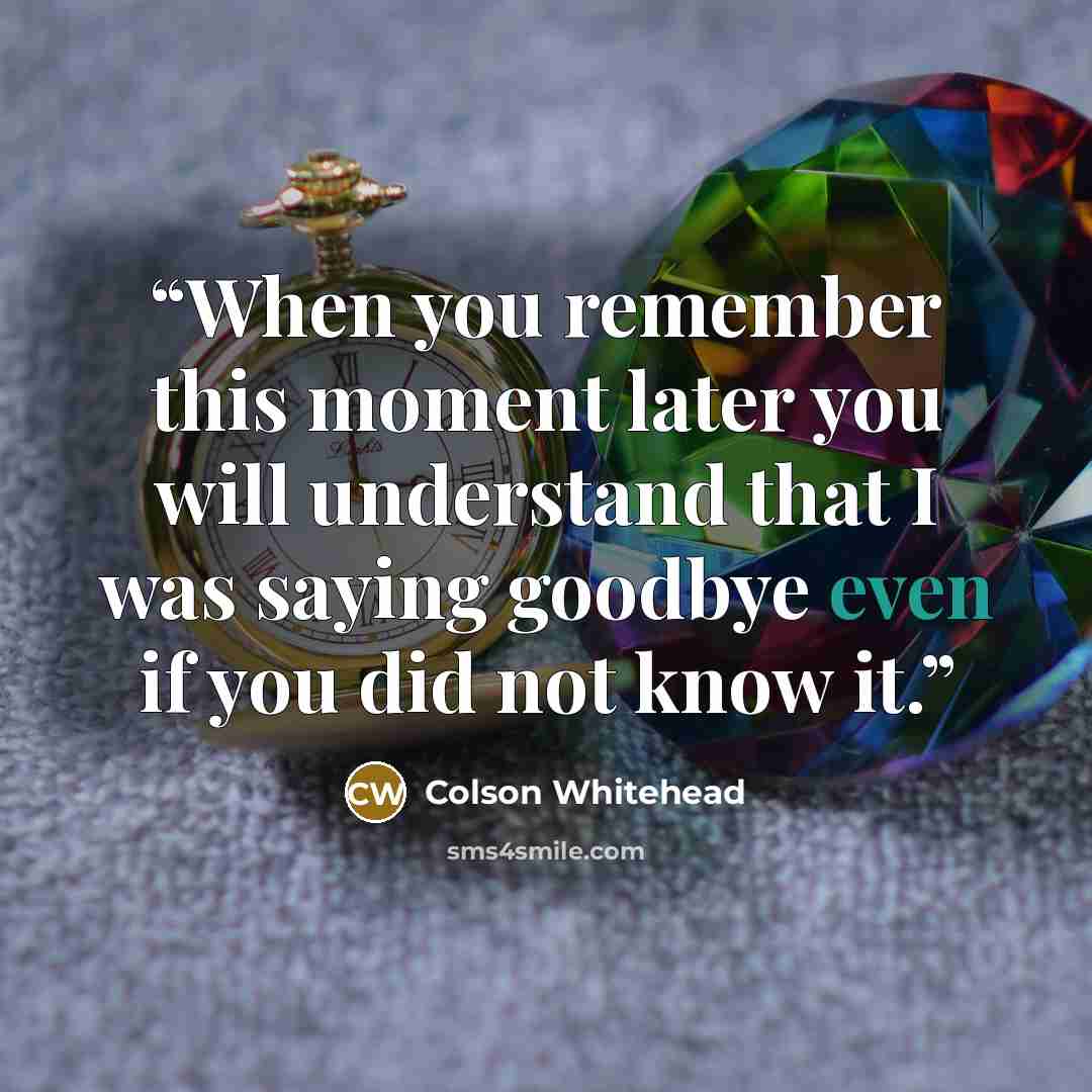 “When you remember this moment later you will understand that I was saying goodbye even if you did not know it.” quote by Colson Whitehead