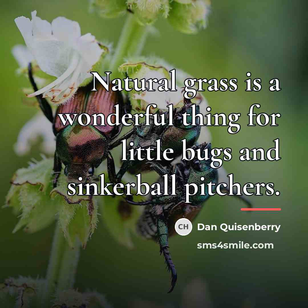 “Natural grass is a wonderful thing for little bugs and…” quote by Dan Quisenberry