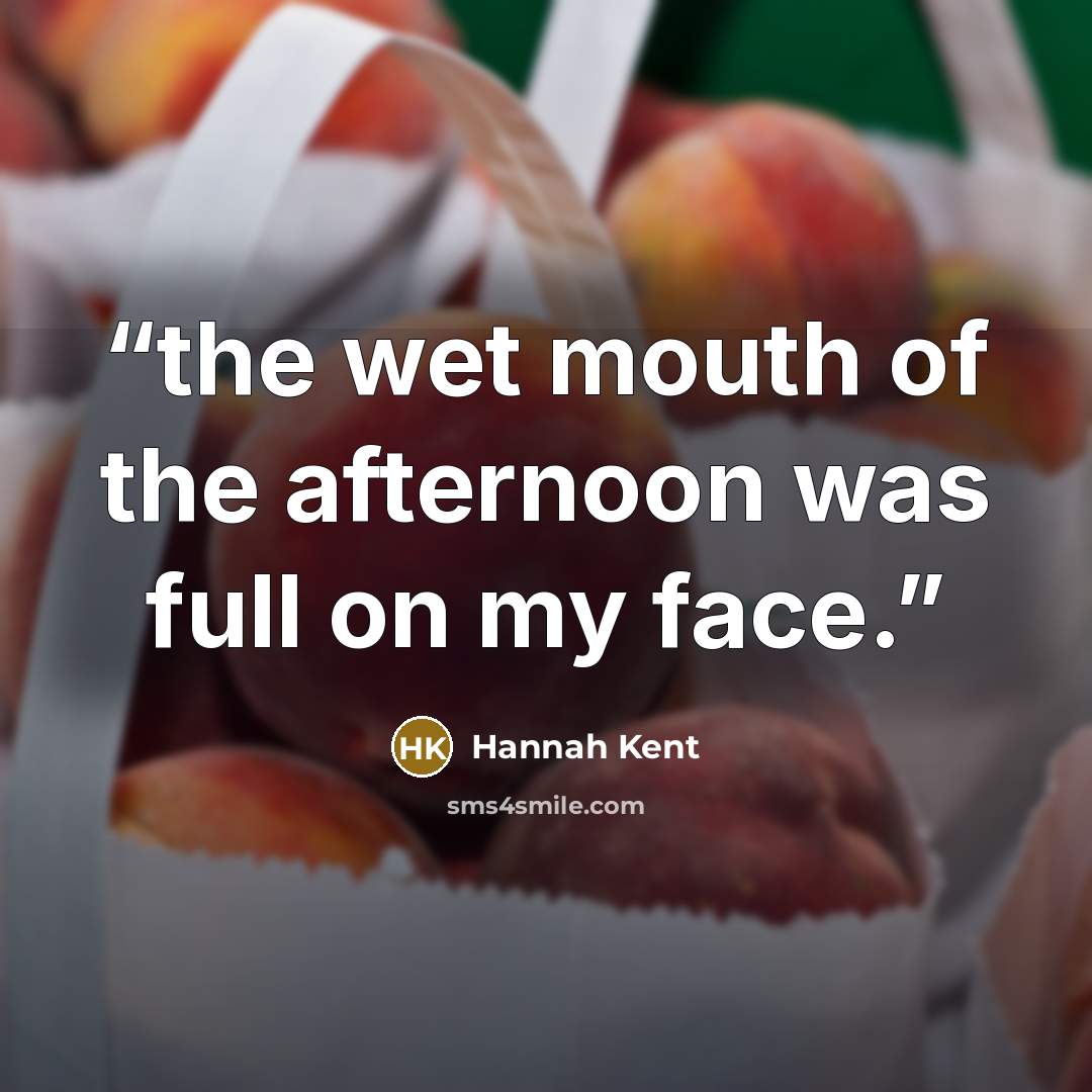 “the wet mouth of the afternoon was full on my face.” quote by Hannah Kent
