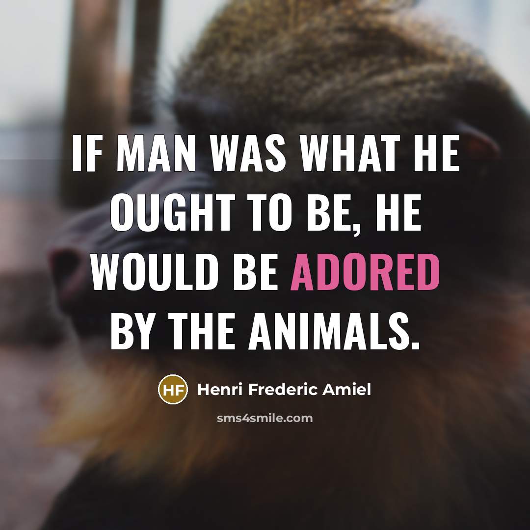 “If man was what he ought to be, he would be adored by the animals.” quote by Henri Frederic Amiel