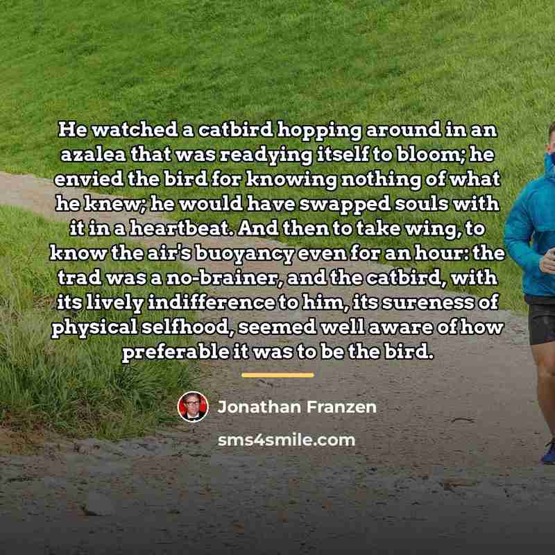 “He watched a catbird hopping around in an azalea that…” quote by Jonathan Franzen