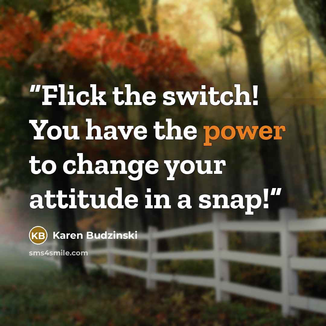 “Flick the switch! You have the power to change your attitude in a snap!” quote by Karen Budzinski